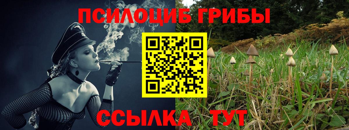 Галлюциногенные грибы Psilocybe  Псилоцибиновые грибы мухоморы  Вход с VPN  Лесозаводск 