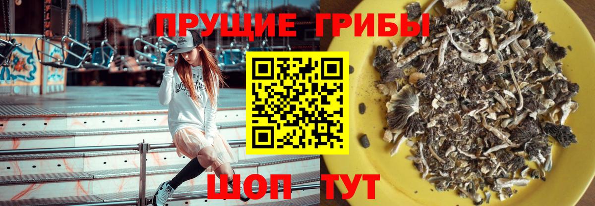 Псилоцибиновые грибы прущие грибы Лесозаводск